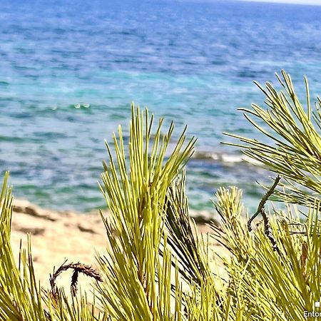 Vh Costablanca - Merlin Бениса Экстерьер фото