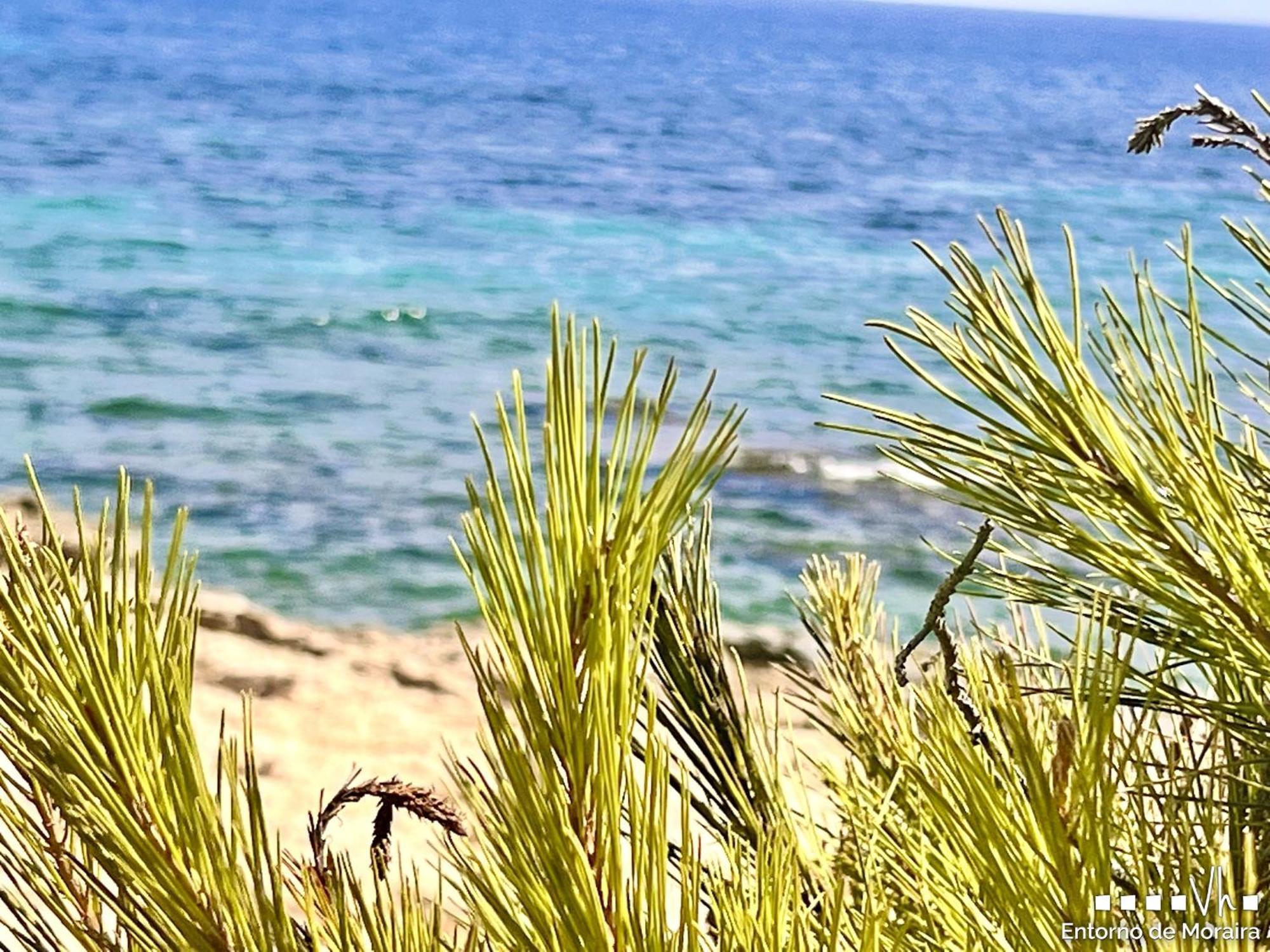Vh Costablanca - Merlin Бениса Экстерьер фото